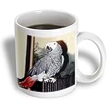 Birds - African Grey Parrot - Mugs