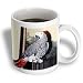 Birds - African Grey Parrot - Mugs