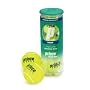 Prince Tour Extra Duty Tennis Balls - Can