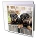 rottweiler35 - Dogs Rottweiler Rottweiler Greeting Cards12 Greeting Cards with