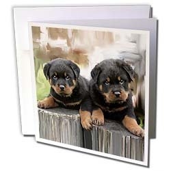 image link -  - B002O1VTNA