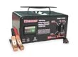 Dayton 1JYV1 Battery Charger, 12/24V (A)
