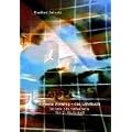 Remote Viewing - das Lehrbuch Teil 2: Technik des Hellsehens Teil 2: Stufe 4+5