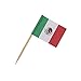 Royal Mexican Flag Picks, Pack of 144