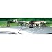Koller Craft Roof Rack and Go