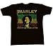 TS255 Bob Marley and the Wailers Positive Vibrations T-Shirt Reggae