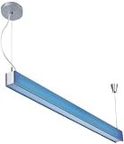 Lite Source LS-19685BLU Fluorescent Ceiling Lamp