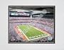 Houston Texans "Reliant Stadium" Double Matted 8" X 10" Photograph (Unframed)