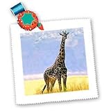 Giraffe - Giraffe - Quilt Squares