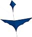 Blue Cannard Kite