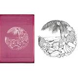 �Z���O���t�B �� �t�����C�G�O�]�`�b�N