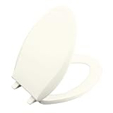Bathroom Sink Wall Mounted by Kohler - K-2084 in White