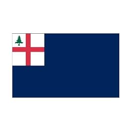 Bunker Hill 3ft x 5ft Polyester flag