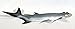 LX Replica Tarpon Saltwater Game Ocean Fish Wall Decor 28