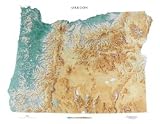 Oregon Topographic Wall Map by Raven Maps, Laminated Print