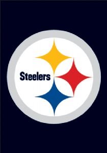 SportingGoods: Pittsburgh Steelers Mini Garden/ Window Flag