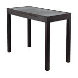 Winsome Wood Darrel Computer Desk with Glass Top