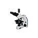 Jenco Intl Compound Brightfield Microscope, Trinocular, Infinity Planachromat