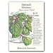 Spinach Bordeaux Seeds 250 Seeds