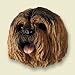 Lhasa Apso Magnet