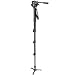 Electronics : Manfrotto 561B Pro Fluid Monopod with Head and 501PL Sliding Quick Release Plate