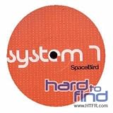 Space Bird [12 inch Analog]