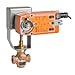 G250B-N+NFBUP-S-X1 Globe Valve | 2" | 2 Way | 40 Cv | w/Spring Return | 24-240V | On/Off | SW