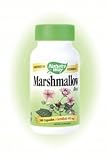 Marshmallow Root ( 100 Caps ) ( Althaea officinalis )