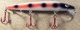 JLVLures JLV Shallow Suspending Minnow Spotted Bleeder : Husky Stickbait Lures Saltwater Freshwater Jerk Bass Smallmouth Steelhead Pike Muskie Salmon Trout Snook Striper Perch Whiper Snook Speckled Trevally, Mid- Depth Trolling Casting Hook Treble