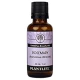 Rosemary 100% Pure Essential Oil-30ml ~ Plantlife