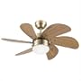 Westinghouse 78248 Turbo Swirl Single-Light 30-Inch Six-Blade Ceiling Fan, Antique Brass with Frosted Globe