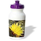 Jerry Funk Photo Artisan Flowers - Decorative colorful garden botanic classic plant SW Southwest Desert cactus green gold flower - Water Bottles