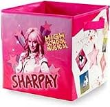 High School Musical Storage Bin With Label - Pink