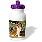 Dogs Saint Bernard - Saint Bernard - Water Bottles