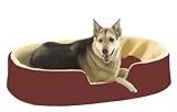 Van Winkles Beds Lounger Extra Small 17x22x8 Wine