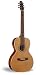 Seagull Coastline Grand Acoustic Guitar