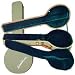 Washburn BC82 Banjo Case