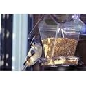 Cafe Window Feeder, 3/4 Qt Clear