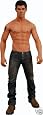 Twilight New Moon "Jacob Black" 7" Action Figure