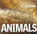 Animals (Wild Britain)