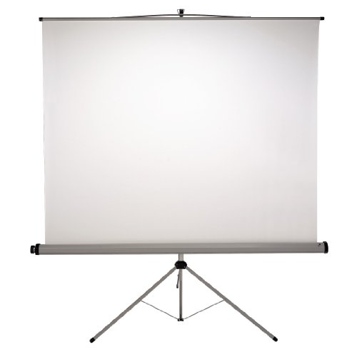 Hama Stativ-Lichtbildwand Pro 200x200 Preisvergleich