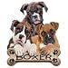Boxer Puppies Adult T-Shirt