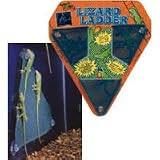 Lizard Ladder - 10 in. x 10 in.