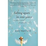 Falling Apart in One Piece: One Optimists Journey Through the Hell of Divorce (Hardcover)