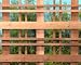 Cedar Monterey Lattice panel 3'x6' 5/pack FREIGHT INCLUDED [CAPITOL CITY LUMBER]