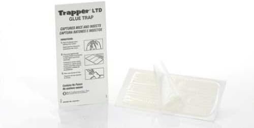 Mouse Insect Glue Board (24 Pack) Mice Roach Insect Glue Traps Mouse Sticky Trap"