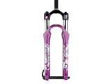ROCK SHOX Argyle 409 SoloAir rose Fourche 100mm