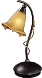Normande Lighting HM1-685 40W Incandescent Table Lamp, Rust with Glass Tulip Shade