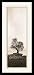 Art Select Coast Oak Tree By A. Blaustein Framed Art Ea - Model Sp4917