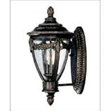 Acropolis Tortoise Shell 19 High Outdoor Wall Light